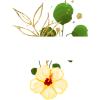 "Edel & Floral" 10-90 Geburtstag | Personalisierte Tasse(330ml)